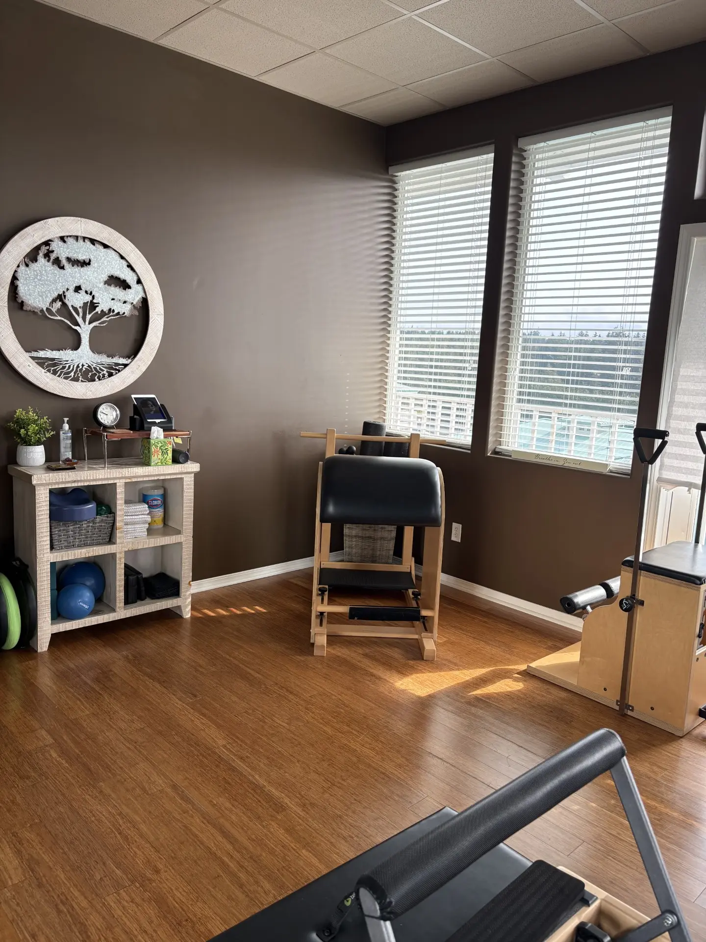 Studio corner with a Pilates chair, props shelf and tree-of-life wall art
